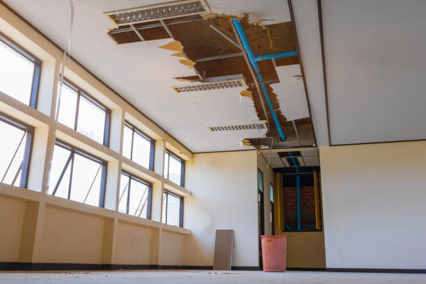 Best Flooded house restoration  in Elmwood Park, IL