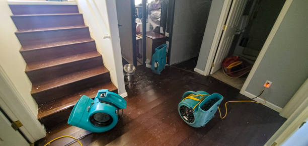 Best Water damage contractors near me  in Elmwood Park, IL
