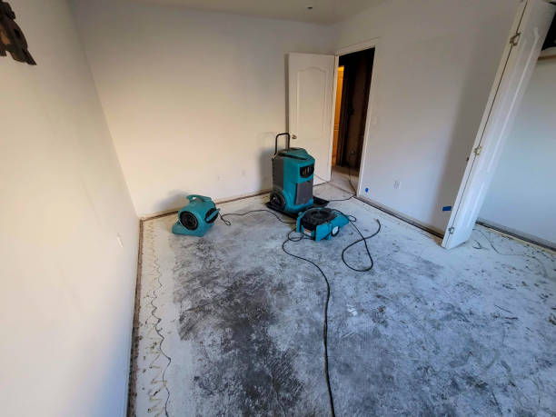 Best 24/7 water damage repair  in Elmwood Park, IL