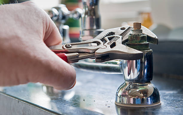 Best Mold removal after water damage  in Elmwood Park, IL