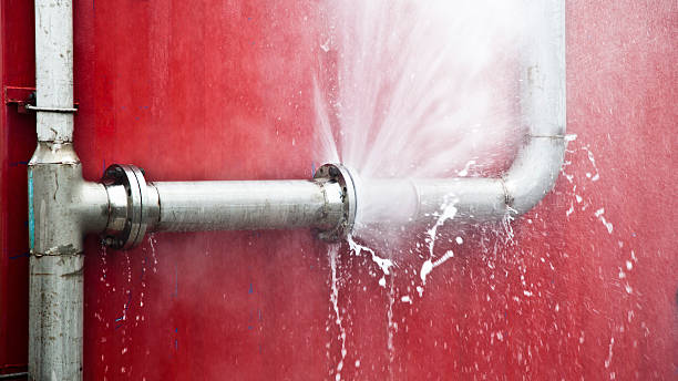 Best Commercial water damage restoration  in Elmwood Park, IL