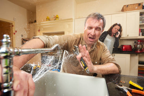 Best Residential water damage restoration  in Elmwood Park, IL